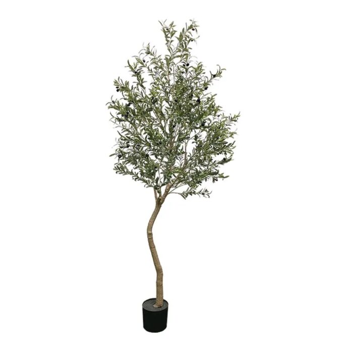 Ενοικίαση τεχνητής ελιάς 240 cm σε γλάστρα για εκδήλωση